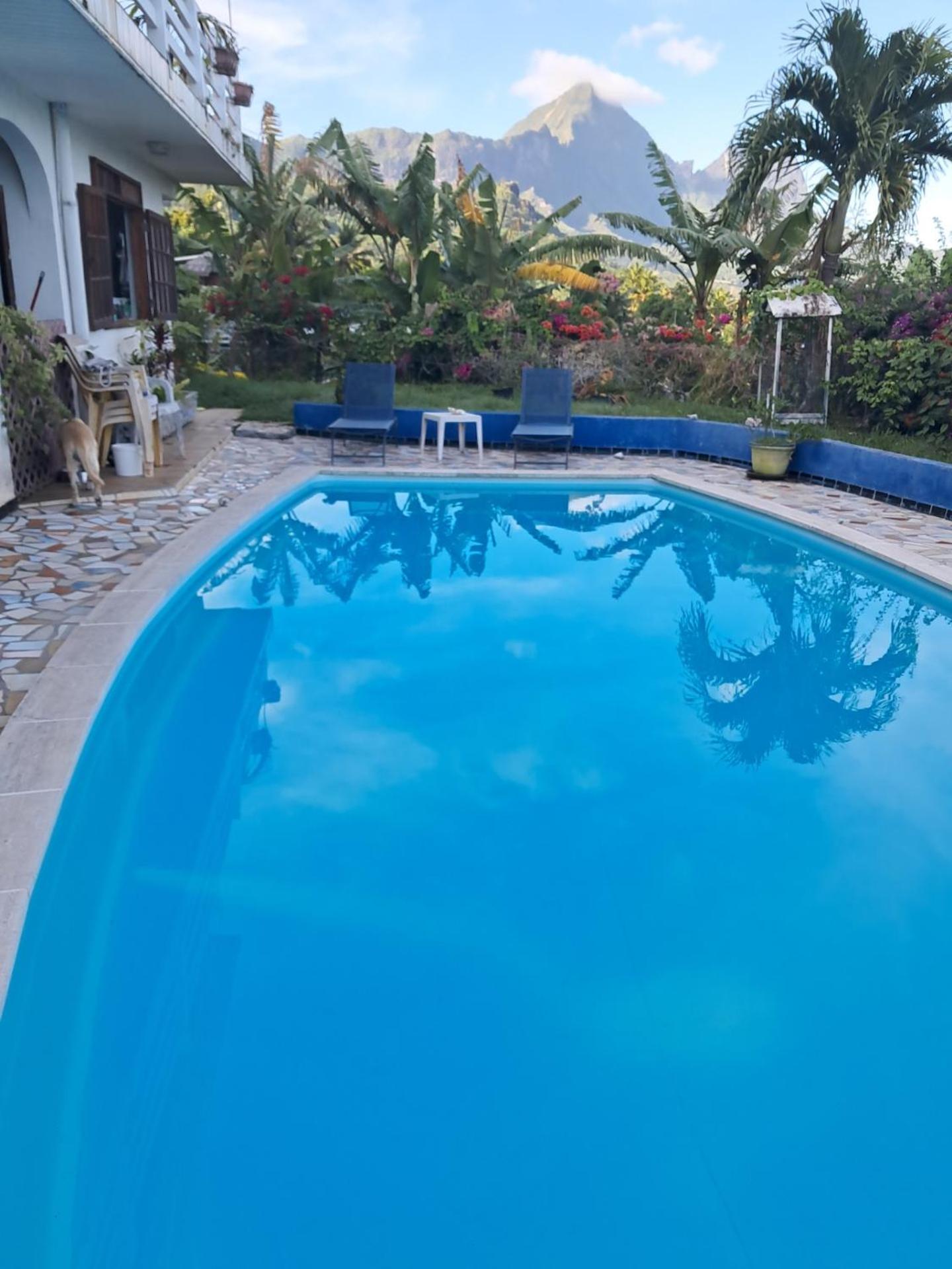 Villa Vaiana Eurl Vaiana Faratea Paopao Εξωτερικό φωτογραφία